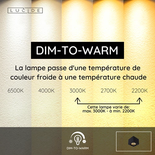 Lucide FEDLER - Spot plafond - LED Dim to warm - GU10 (ES111) - 1x12W 2200K/3000K - Noir - USP